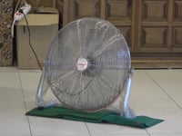 Les calorades d'abans d'hora activen les alertes de salut