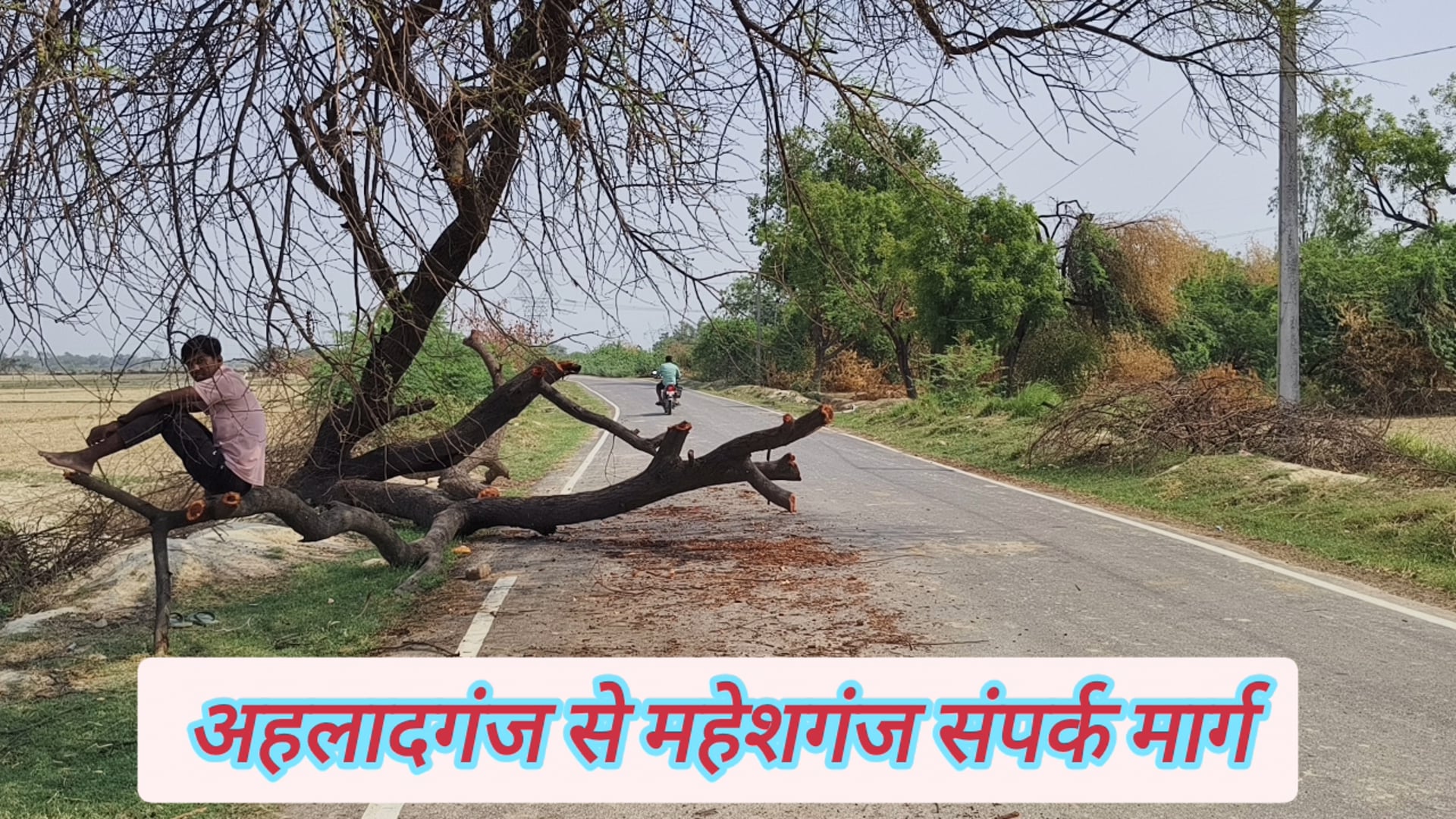 बाबागंज के ग्राम सभा रायगढ़ ऊंचवापार घोसियाना में सड़क पर मौत को दावत देता पेड़ जिम्मेदार मौन#latest_news 