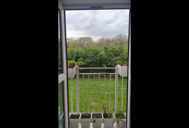 Video 1: 