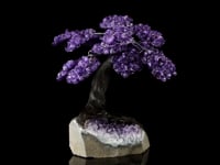 Astro West - Large Genuine Amethyst Tree on Amethyst Video