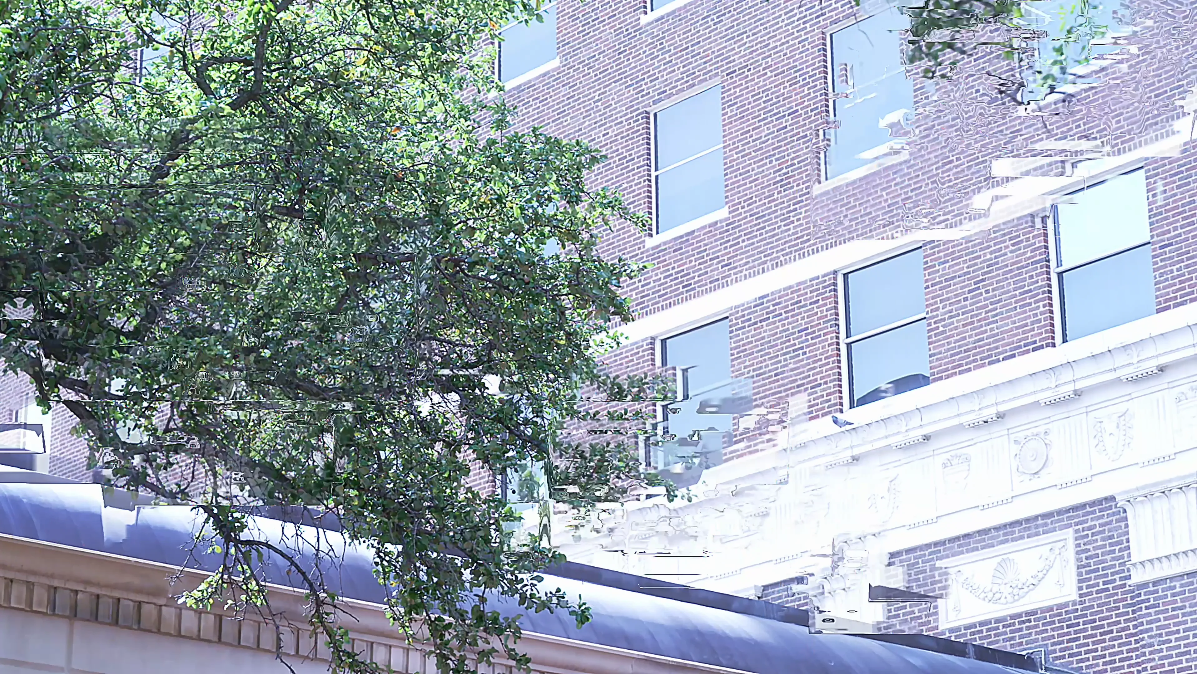 LBMG promo — Hilton Hotel Fort Worth, TX