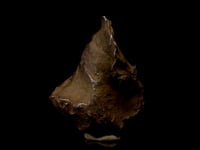 Astro West - Authentic Gebel Kamil Meteorite AWMET507 Video