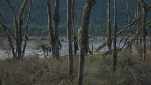 Backcountry Fly Fishing Reel in New Zealand Video Thumbnail