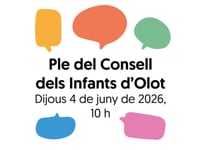 Ple del Consell dels Infants d'Olot