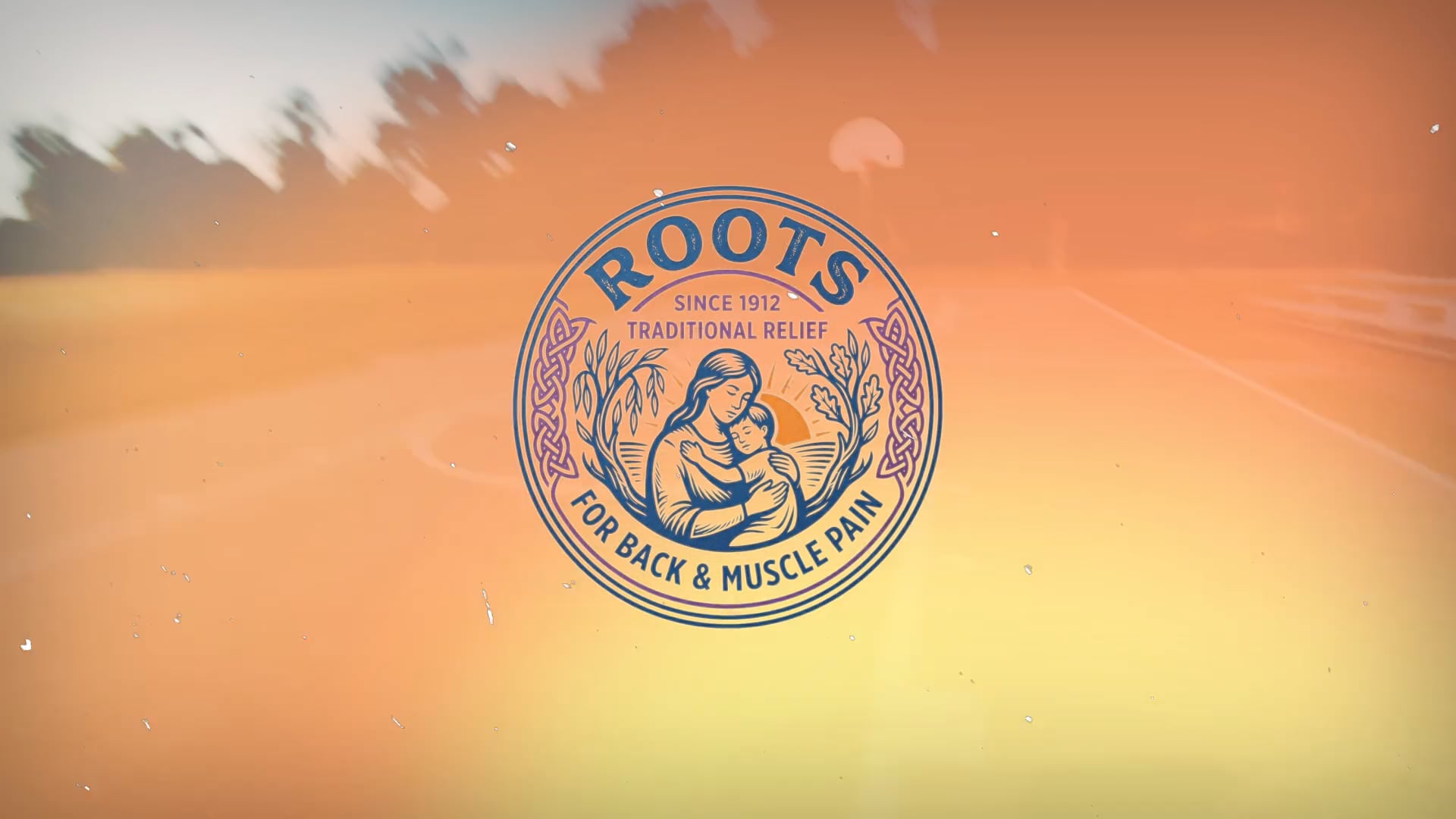 Roots - Life doesn't stop | EDITFEST '26