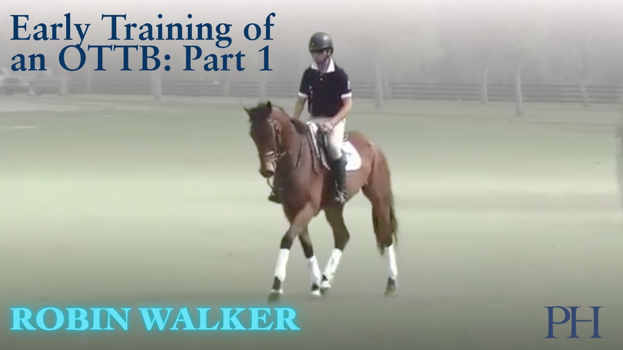 Early Training Of OTTB | Robin Walker | PART 01