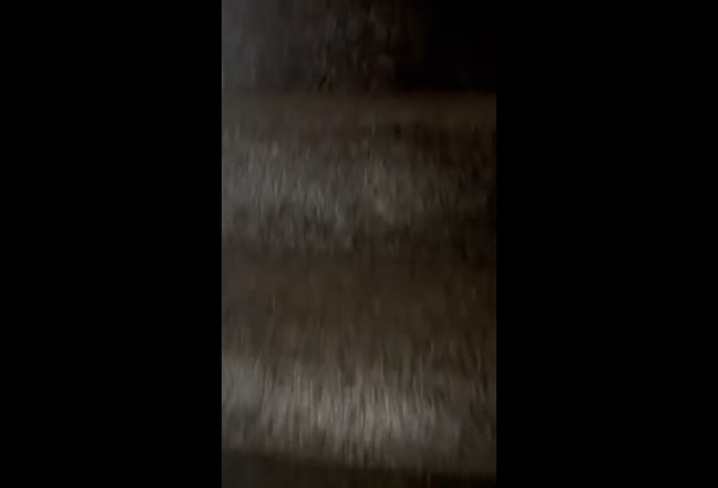 Video 1: 