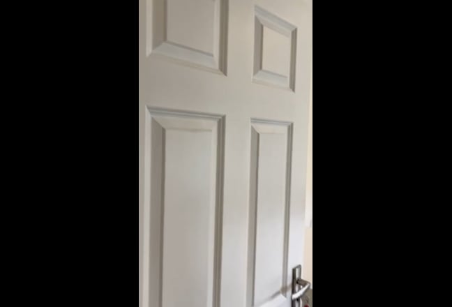 Hello! Looking for a new housemate :) Main Photo