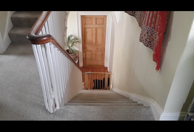 Central - large double room with off-road parking Main Photo