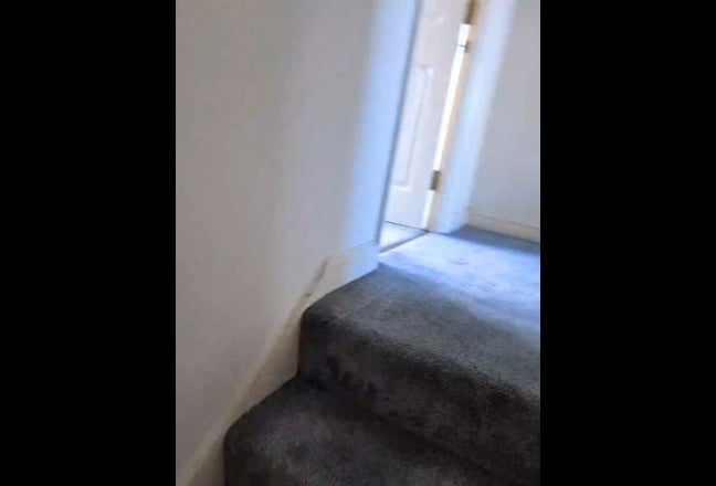 Huge Ensuite Room in Campbell Park - Available Main Photo