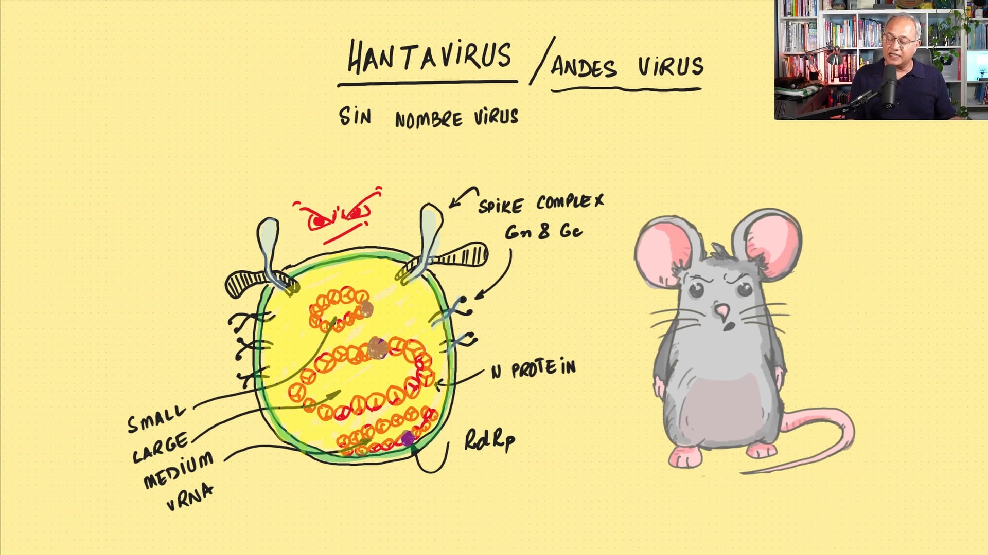 Hantavirus - Are We in Trouble Again?