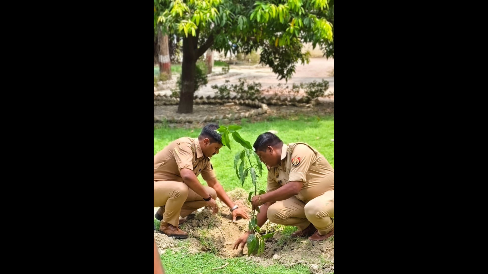 विश्व पर्यावरण दिवस पर पुलिस का हरित संदेश संग्रामगढ़ व महेशगंज थानों में हुआ वृक्षारोपण #latest_news 