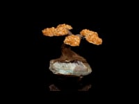 Astro West - Genuine Citrine on Amethyst Gem Tree of Abundance #2 AWTREE509 Video