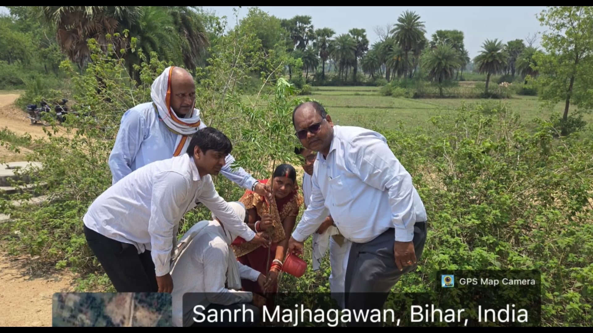 विश्व पर्यावरण दिवस पर सिरदला प्रखंड में पधारोपण  कार्यक्रम आयोजित