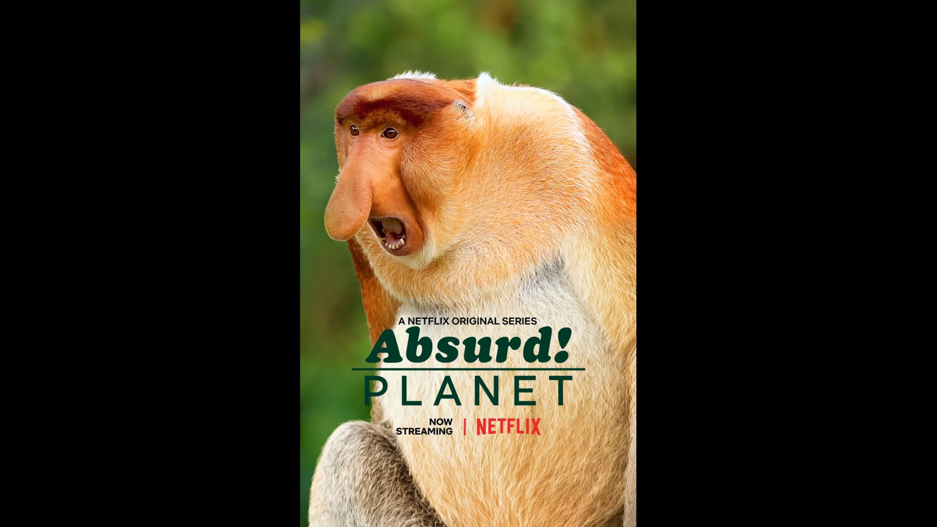 Absurd Planet