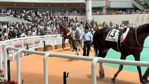 動画サムネイル