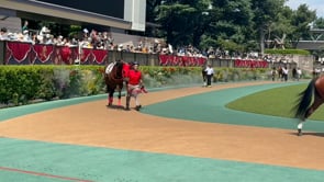動画サムネイル