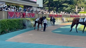動画サムネイル