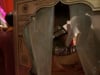 INTERCONTINENTAL O'HARE SOUTH ASIAN INDIAN HINDU PAKISTANI WEDDING VID ..
