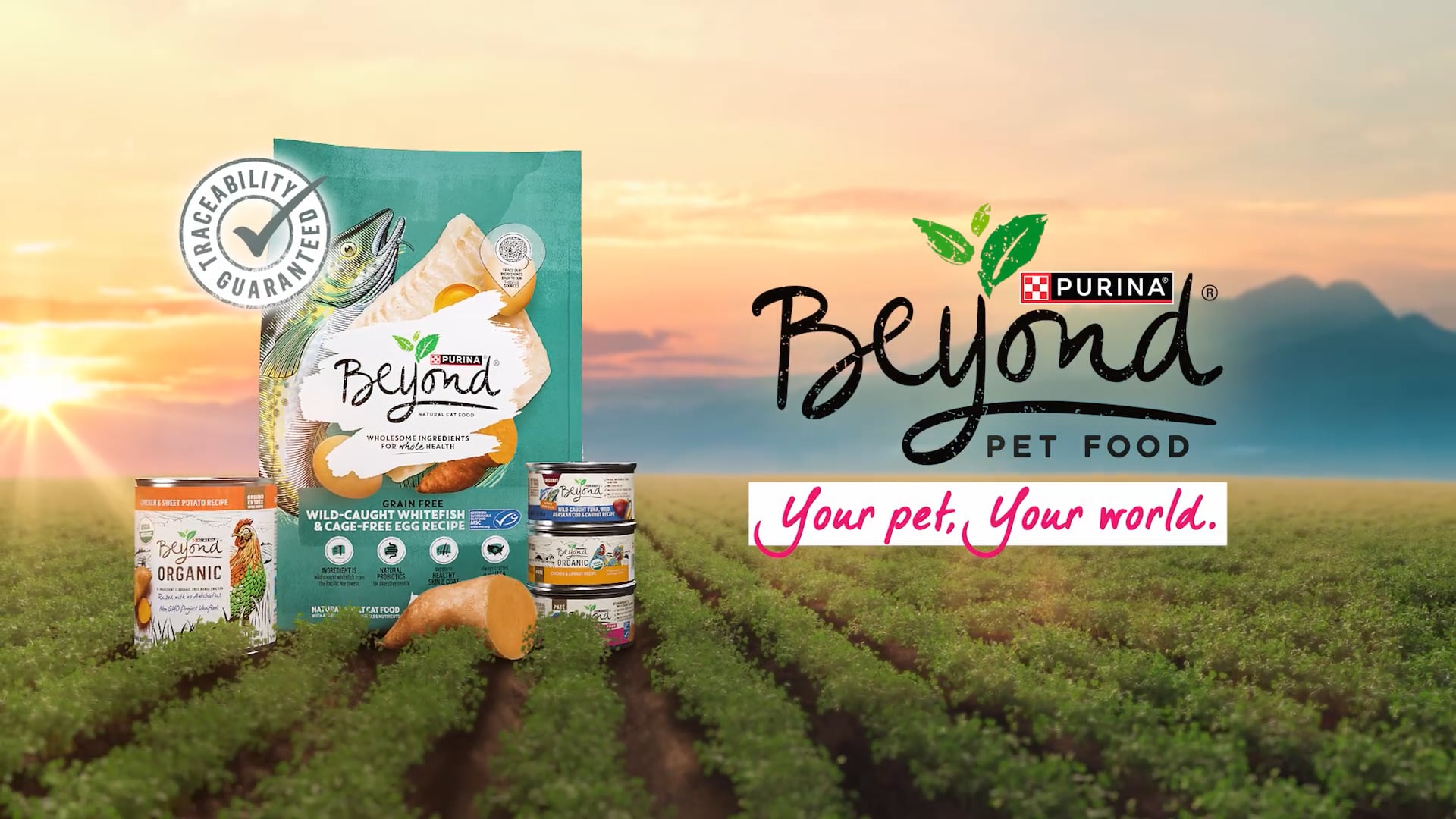 BeyondYourWorld