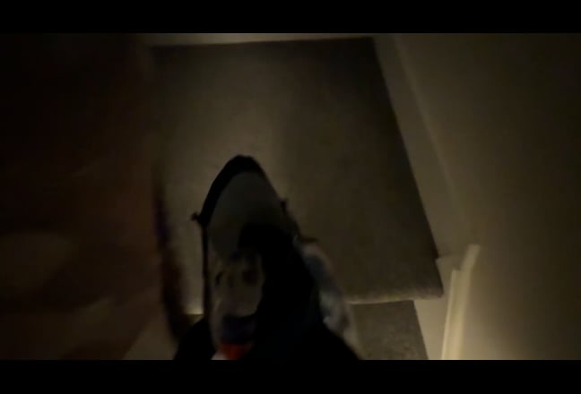 Video 1: 