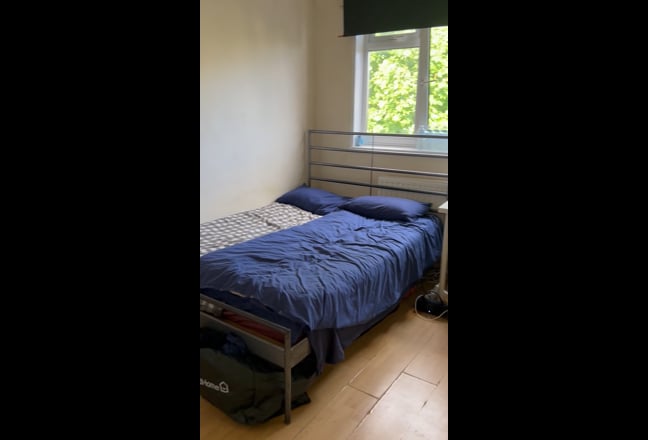 🔥 Bright room available now in E&C🔥 Main Photo
