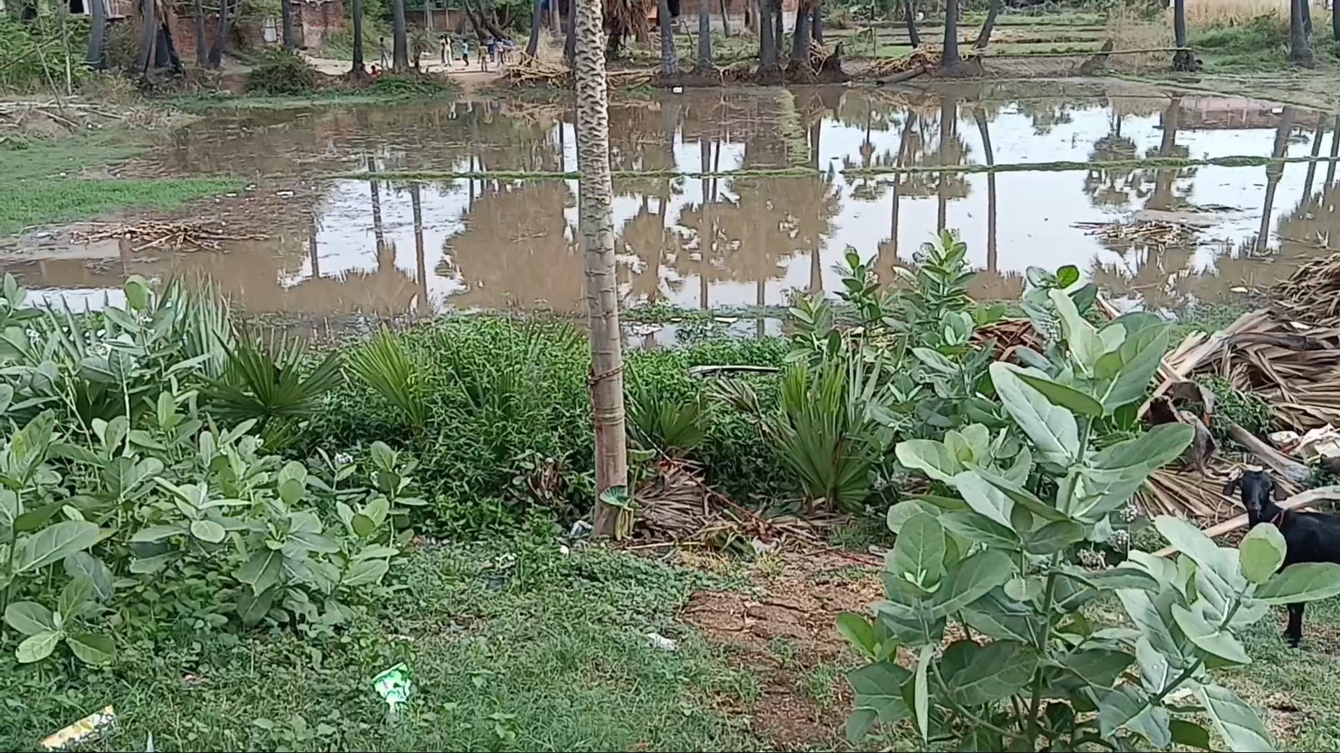 सिरदला प्रखंड क्षेत्र में आई आंधी पानी से 12 घंटे बिजली आपूर्ति रही बाधित उपभोक्ता परेशान