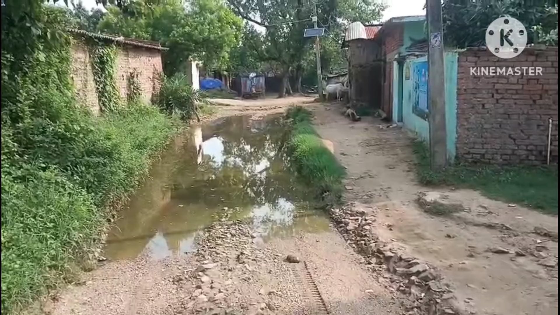 प्रखंड मुख्यालय से सटे गनोरा गांव के पास फुल्लीडुमर भौरामोड मुख्य सड़क गड्ढे में तब्दील, आम लोग परेशान