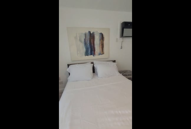 Large Furnished Room Main Photo