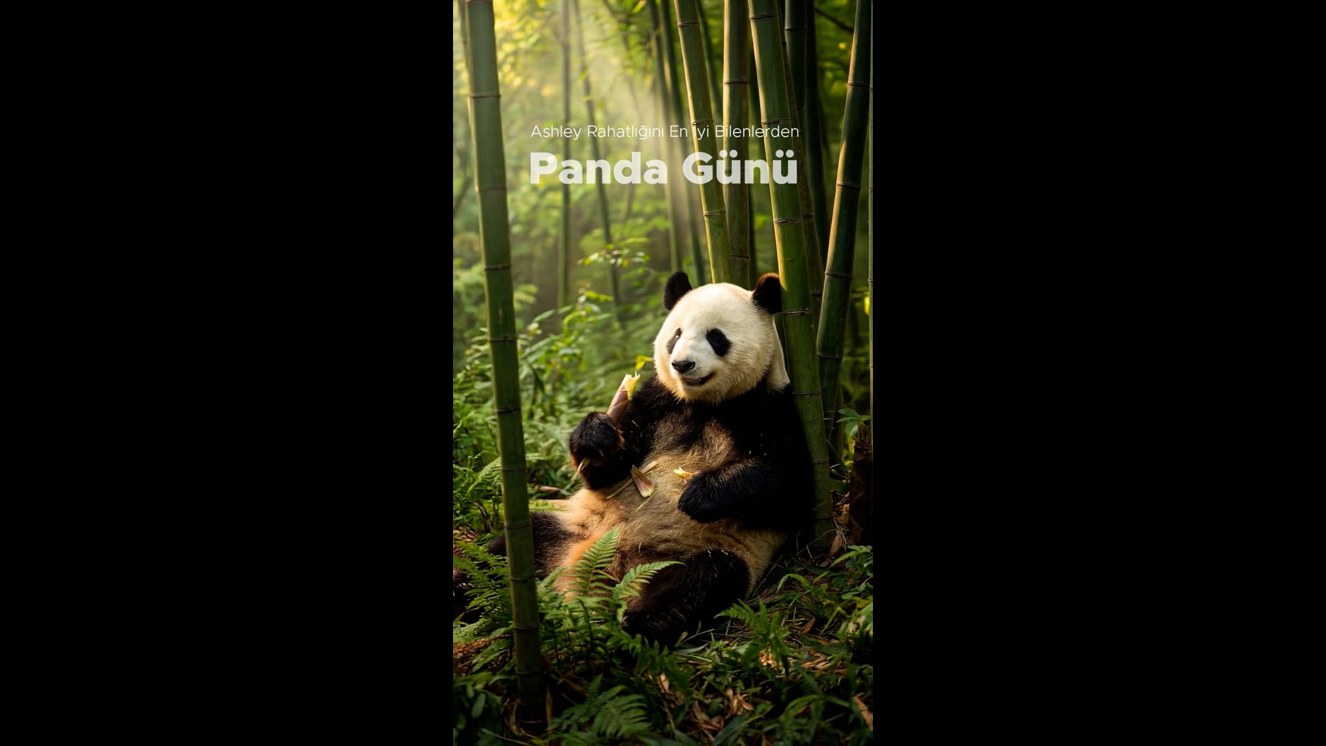 Ashley Panda Günü AI Reel2