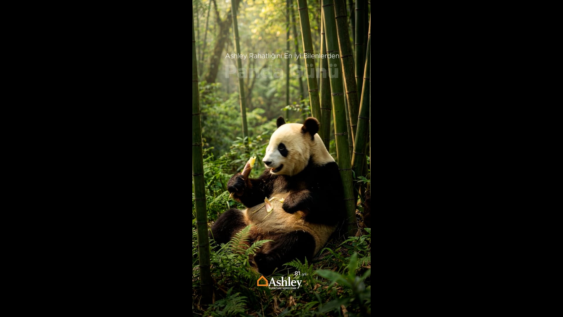 Ashley Furniture Panda Günü AI Reel