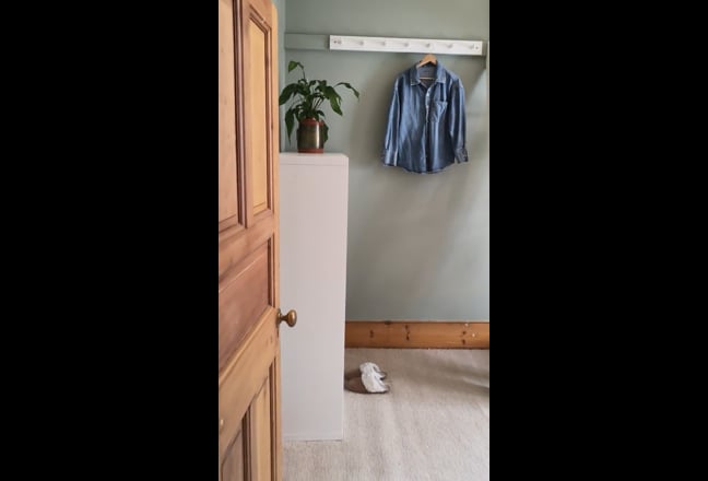 High-Ceiling Room, Private Storage & Shared Garden Main Photo