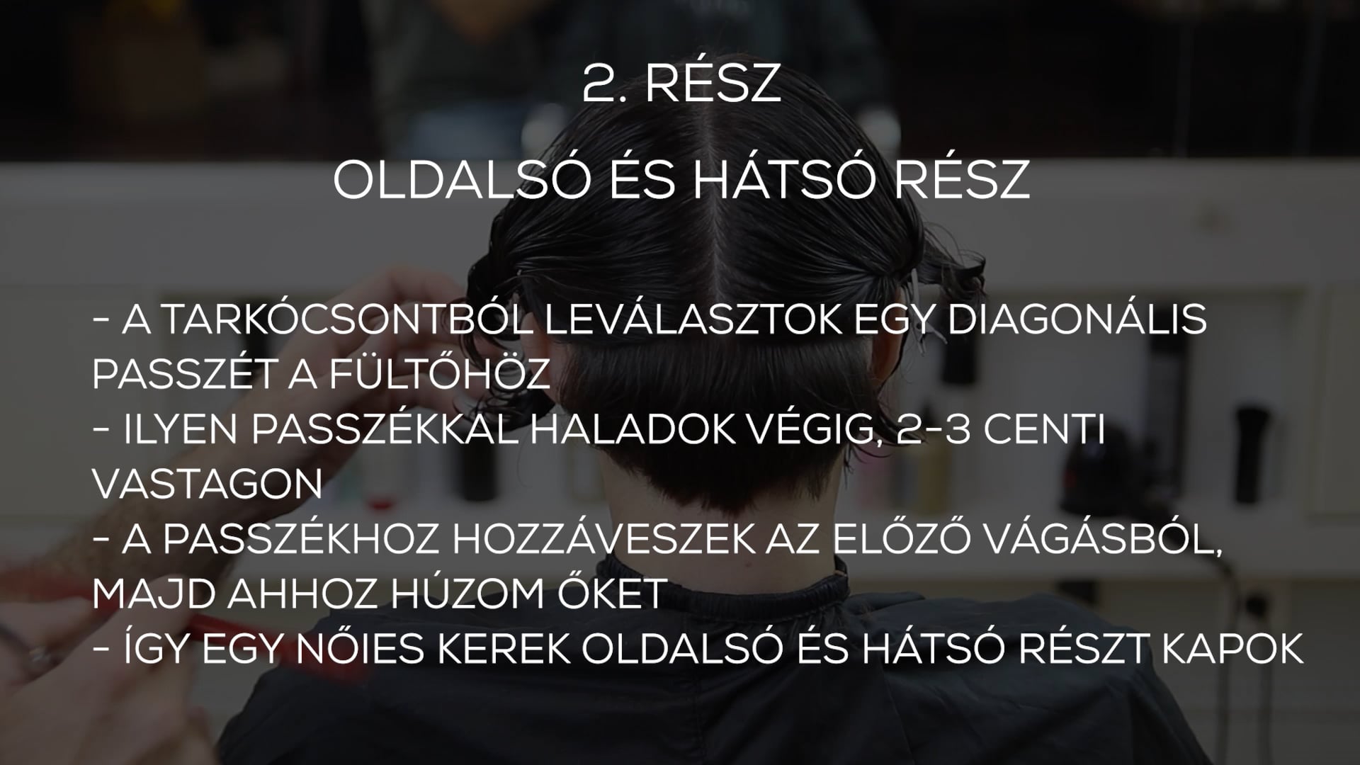 CURLY SHORT göndör rövid forma 2. rész