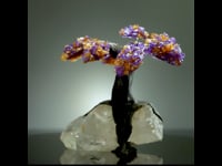 Astro West - Natural Amethyst and Citrine on Quartz Gem Tree of Prosperity AWTREE510 Video