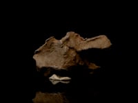 Astro West - Genuine Gebel Kamil Meteorite from Egypt 80g AWMET511 Video