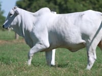 Lote E02