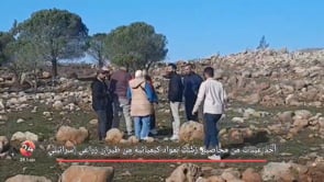 جمع عينات نباتية لتحليلها بعد رش مواد مجهولة من طيران زراعي إسرائيلي في ريف القنيطرة