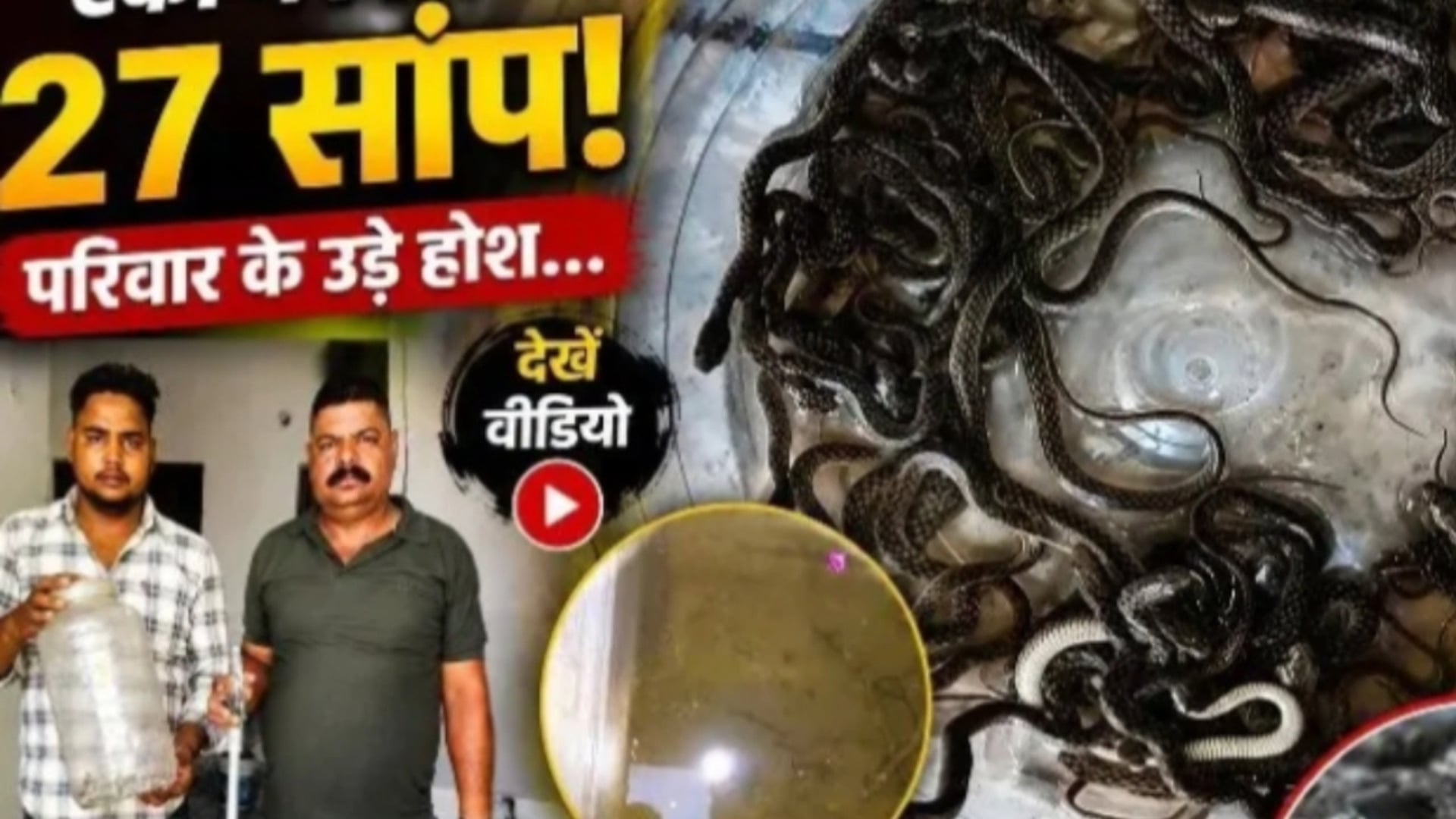 हरिद्वार! सराय में पानी की टंकी में मिले सांप के बच्चे! वन विभाग ने सुरक्षित निकाला! मचा हड़कंप!