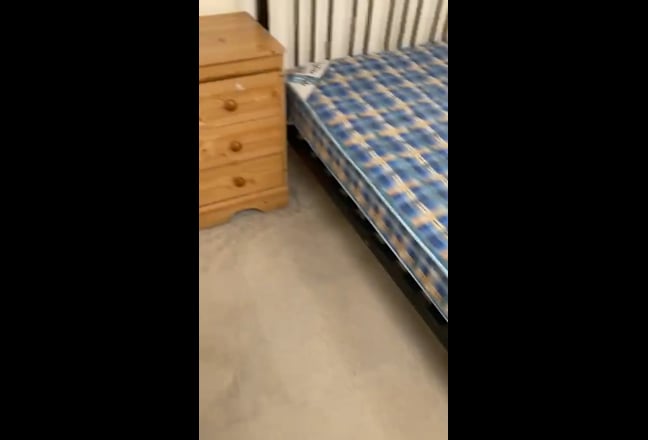 Hello! Looking for a new housemate :) Main Photo