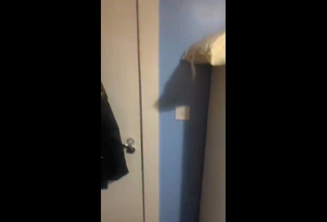 1 Room Available Main Photo