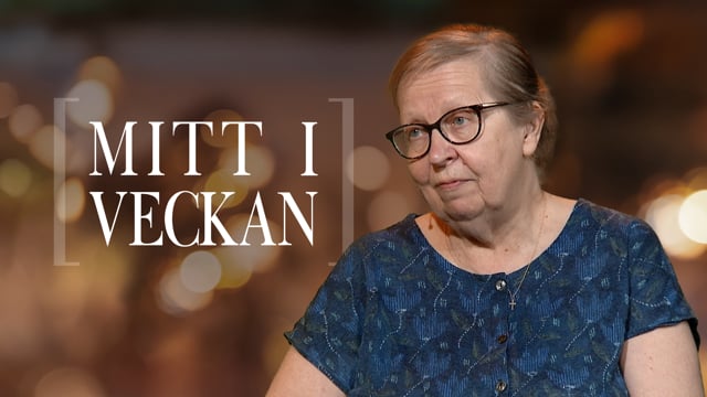 ⁣Elisabeth Sandlund | Mitt i veckan