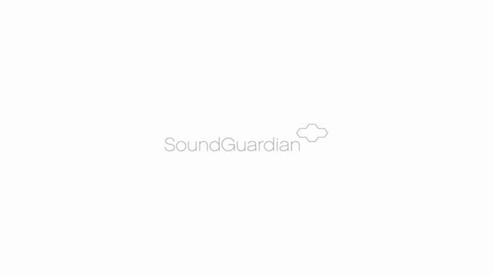 SoundGuardian