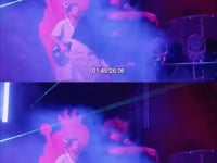 Rawayana. Coachella