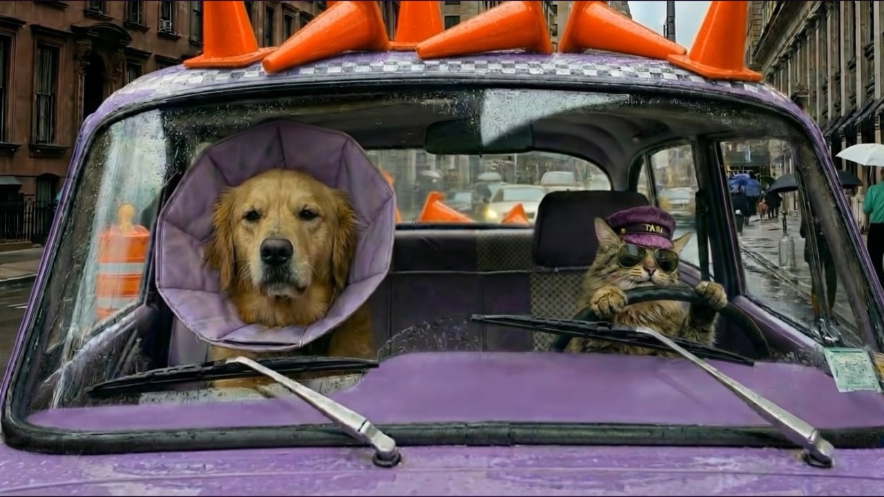 Hot Pursuit