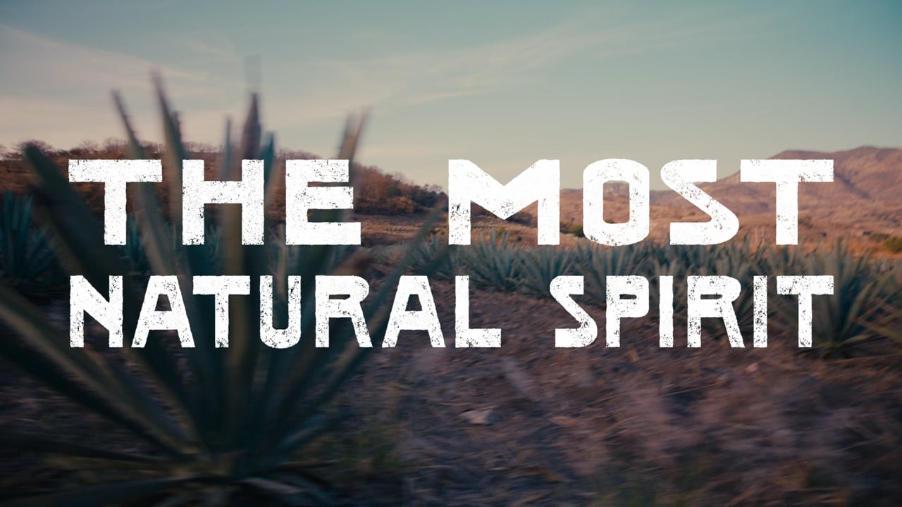 Madre Mezcal