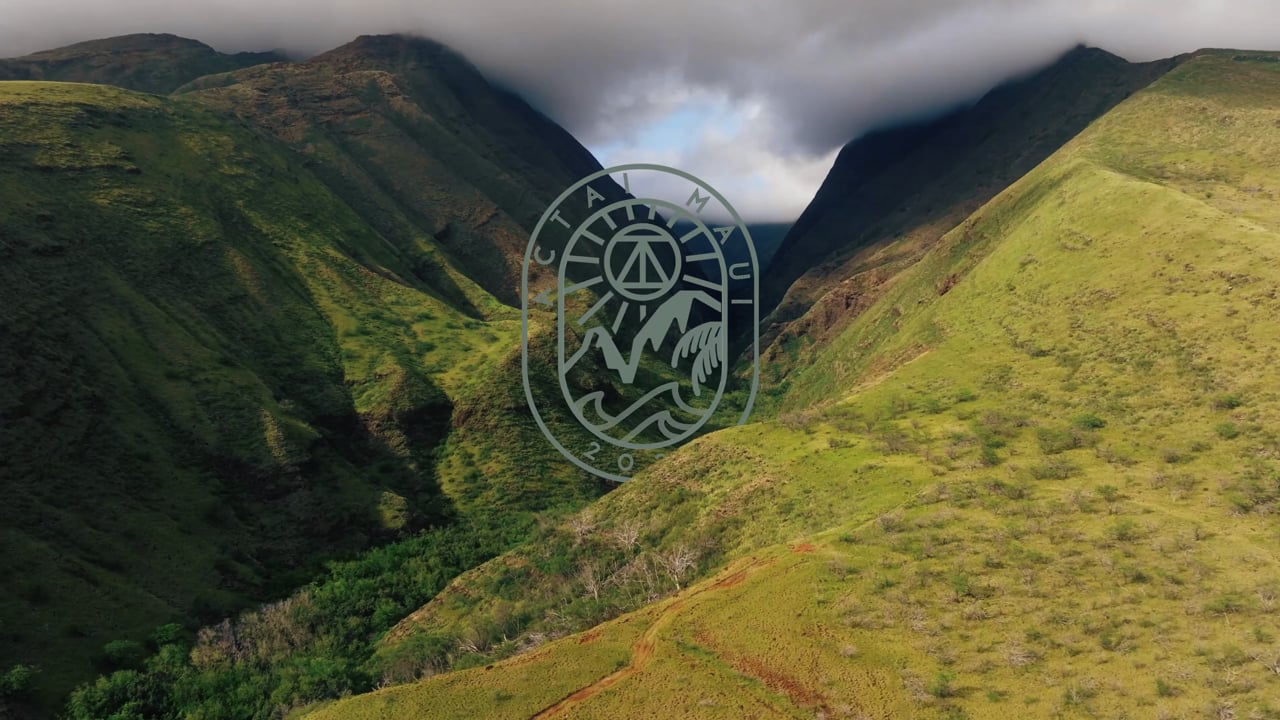 ACTAI MAUI