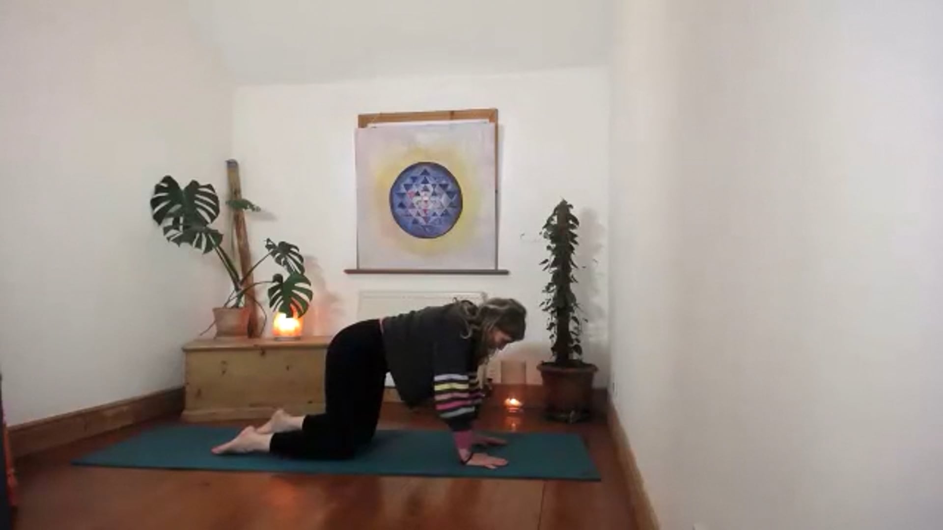 Supporting the body in wellness