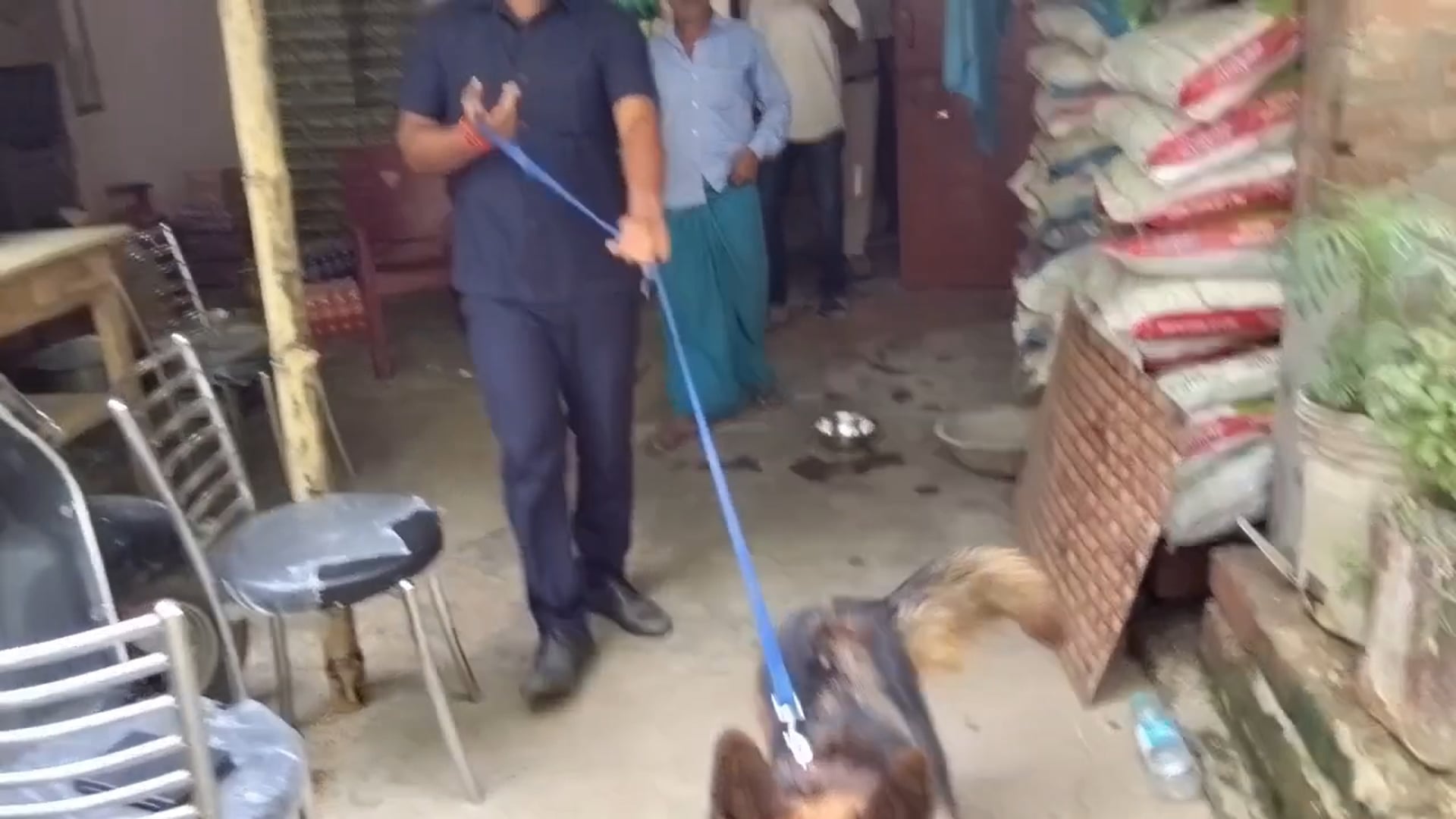 अमरपुर पुलिस का बड़ा एक्शन, 1 किलो 10 ग्राम गांजा बरामद 