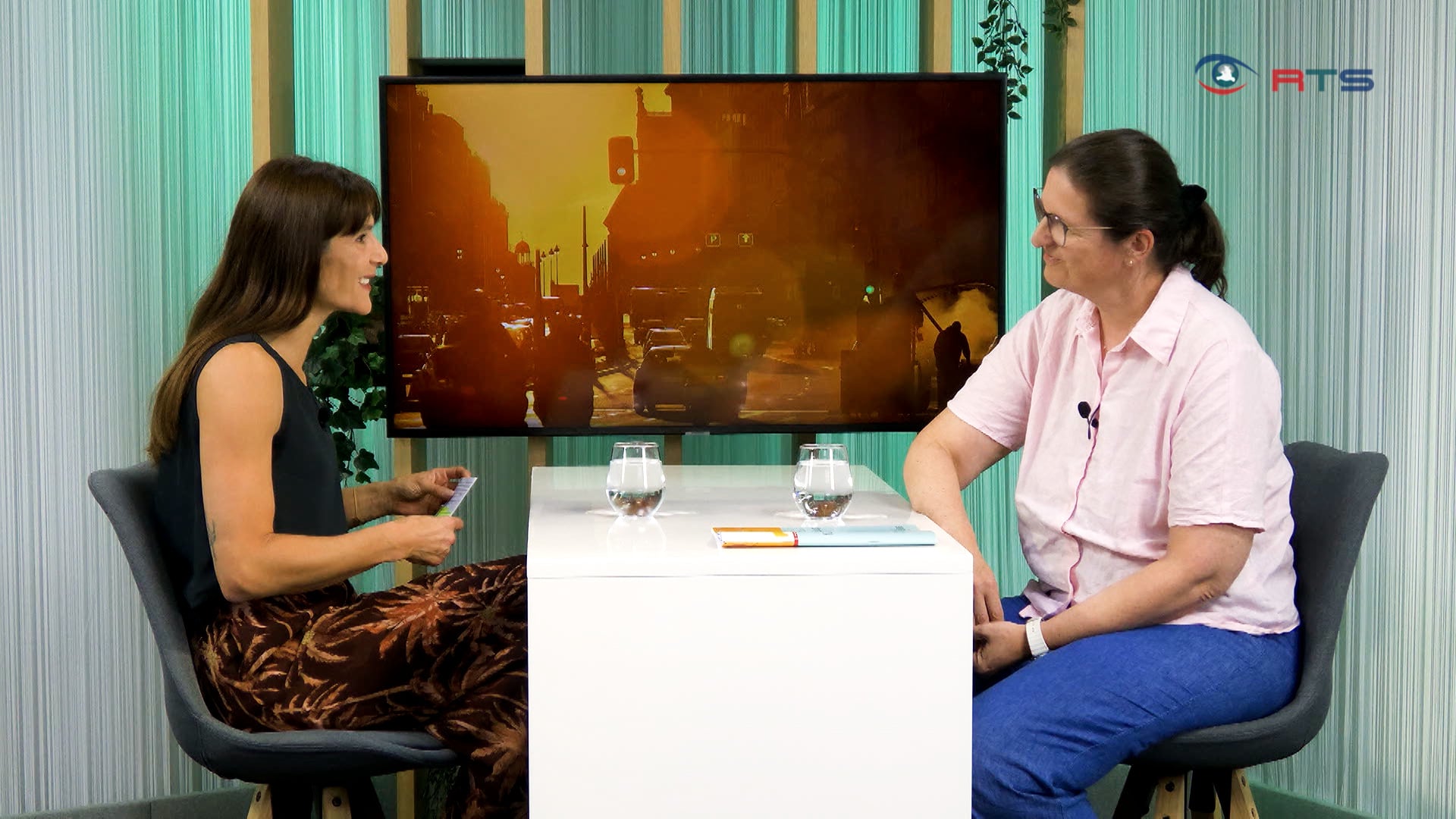 kuehler-kopf-bei-hitze-barbara-egger-pritz-im-talk