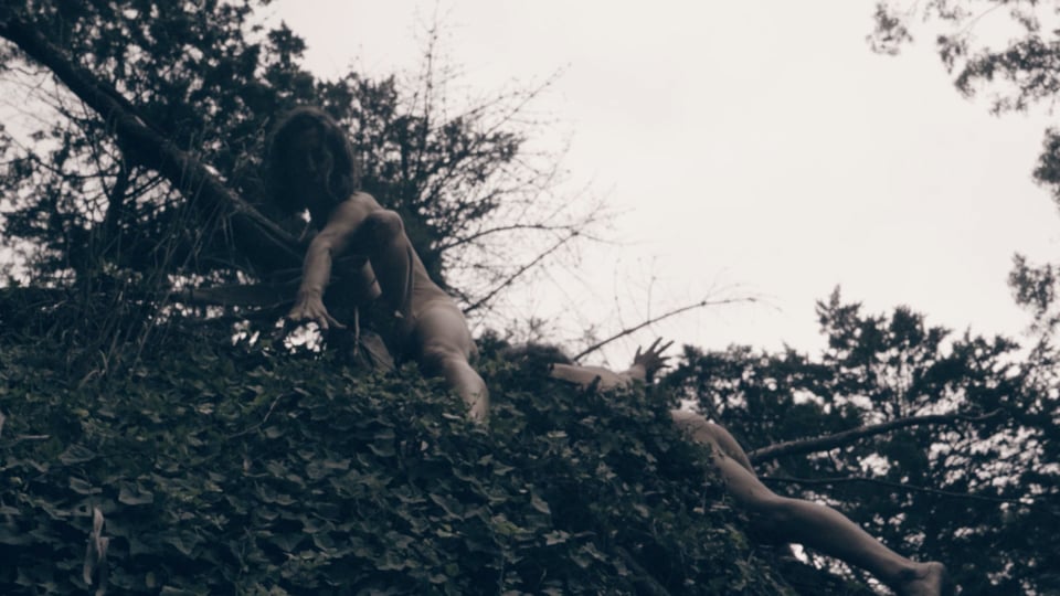 CHICAS PERFORM - BOSQUE PERALTA RAMOS